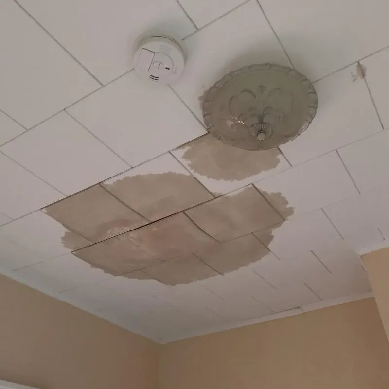 Ceiling Water Damage Repair in Mathews, VA