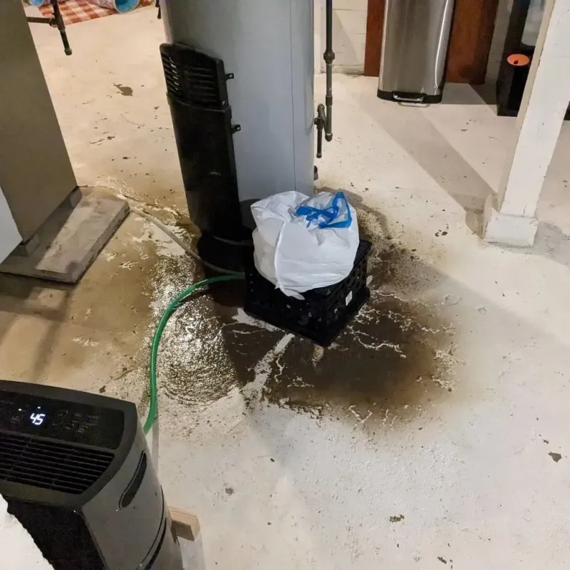 Sewage Backup Cleanup Service in Mathews, VA